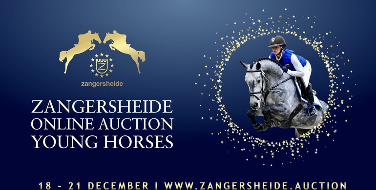 Zangersheide Auction 18 - 21 December | Future showjumping stars ready to shine! 