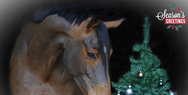 Wishing you a wonderful Christmas!