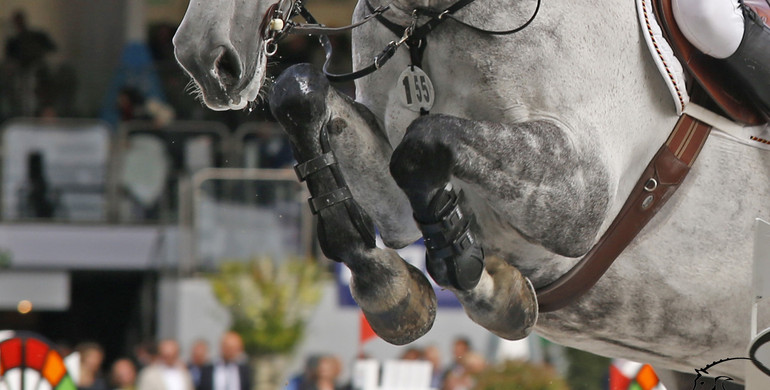 The German Equestrian Federation responds to RTL video footage of alleged “rapping” at Ludger Beerbaum Stables