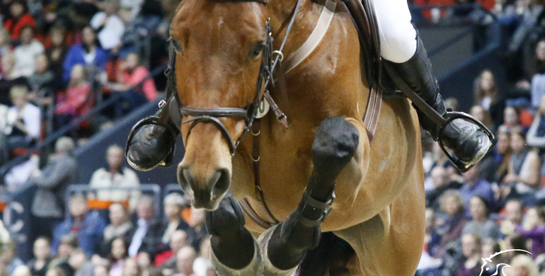 FEI states that training methods shown in RTL video footage are totally unacceptable from a horse welfare perspective