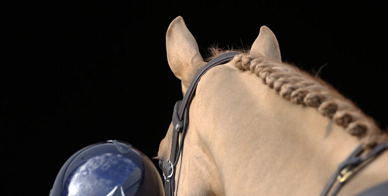FEI Board meeting: Focus on Equine Ethics & Wellbeing Commission, FEI Athlete Representative election, as well as Medical and Maternity Leave Rules