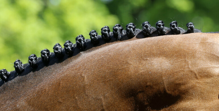 This weekend's CSI2* Grand Prix winners