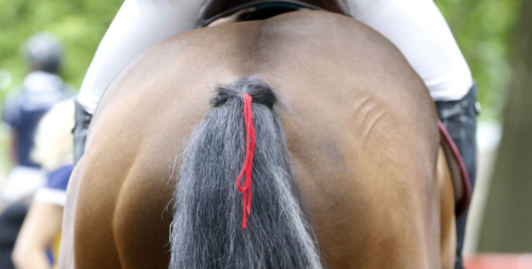 FEI Board approves temporary measures in view of vaccine shortage