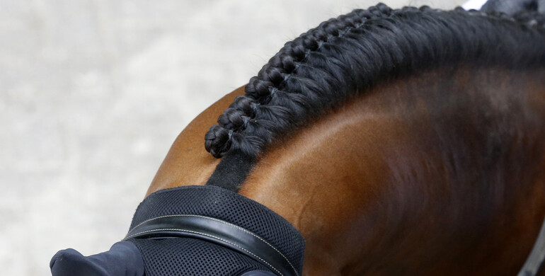 Nicolas Pizarro and Enkidu win the CSI4* Grand Prix in Lerma