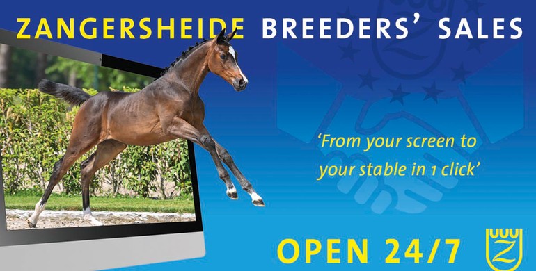 Zangersheide Breeders’ Sales – from your screen to your stable in one click!