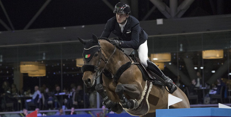 Rodrigo Almeida's GB Celine, Jorden van de Kruishoeve and Echo’s Son Z sold