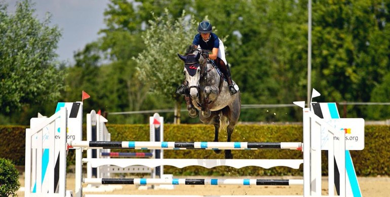 Over The Top Stables acquires Corbie V.V.Z for Daniel Bluman
