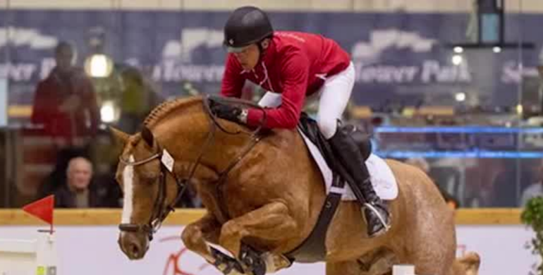 Proven broodmares and promising embryos in Paardenveiling Online auction