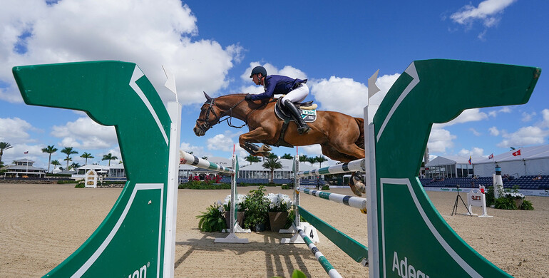 Daniel Deusser dominates $75,000 Adequan® WEF Challenge Cup round VII CSI5*