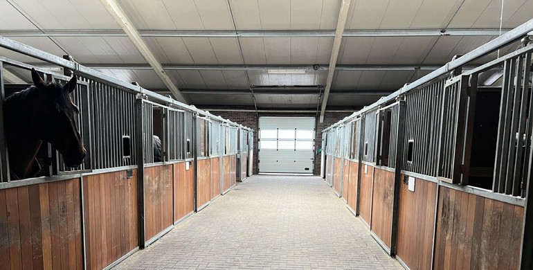 Stable block for rent in professional facility