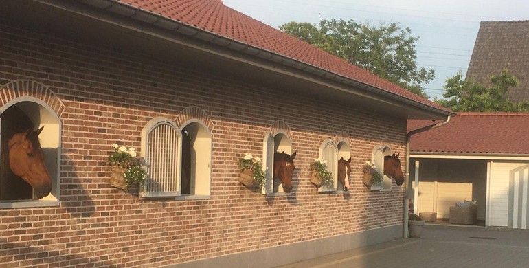 Private stable for rent in Vrasene, Belgium
