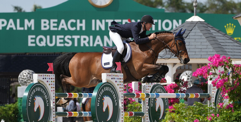 Ward wins again with Catoki in $37,000 Bainbridge Companies 1.45m CSI5* during WEF 9
