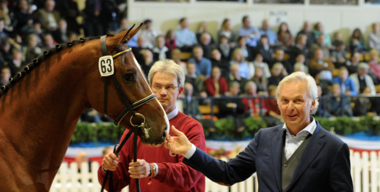 Equine 74 Gastric: Interview with Theo Molenaers - A healthy stomach makes a happy horse!