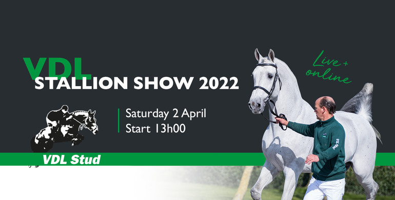 VDL Stallion Show: It's possible again!