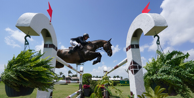 Bertram Allen and Pacino Amiro cruise to top finish in $140,000 Adequan® WEF Challenge Cup round XII CSI5*