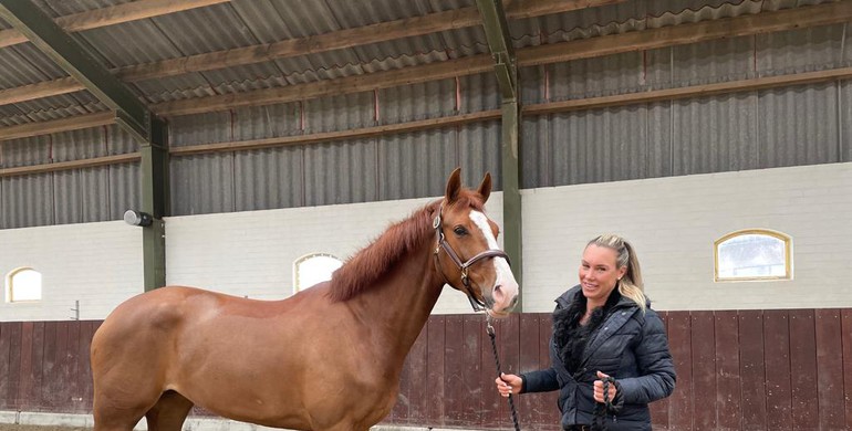 Equine 74 Gastric: Interview with Suzanne van Mierlo – With Equine 74 Gastric, you stay one step ahead of the problem