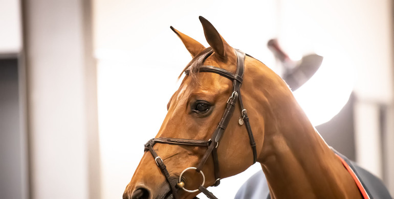 Images from Tuesday's trot-up at the Longines FEI Jumping World Cup™ Final 2022