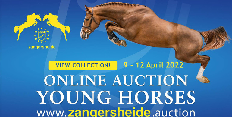 Bidding has started for the future stars in Zangersheide Online Auction! ⁣
