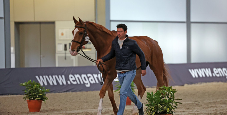 All horses pass the second veterinary inspection at the  Longines FEI Jumping World Cup™ Final 2022