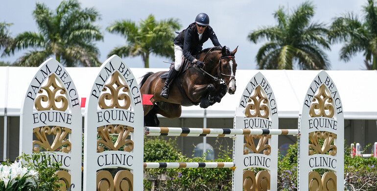 Paul O’Shea and Squirt Gun race to success in $37,000 FreeJump qualifier CSI3*