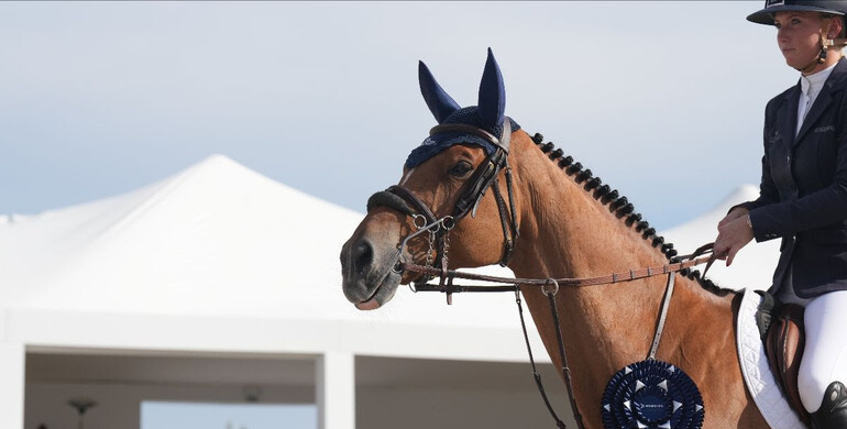 Jana Wargers and Limbridge on top at Hubside Jumping Grimaud