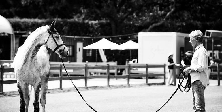 Magic moments from the Longines Global Champions Tour of Mexico City, part one