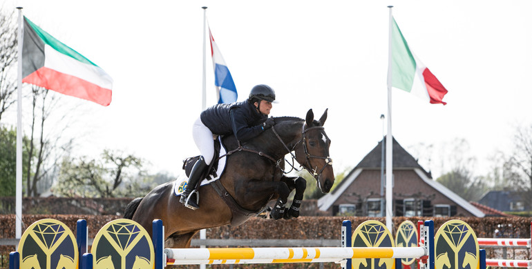 The Youngsters Auction: Trials of the auction horses has started!