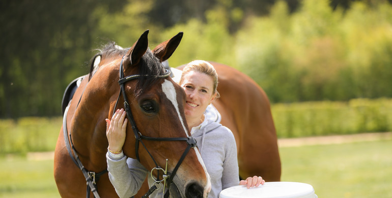 How can you treat gastric ulcers in horses?