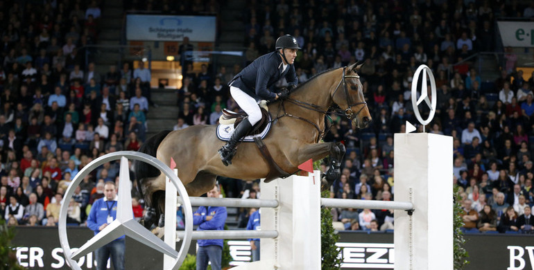 Dimaro vd Looise Heide sold to the Czech Republic