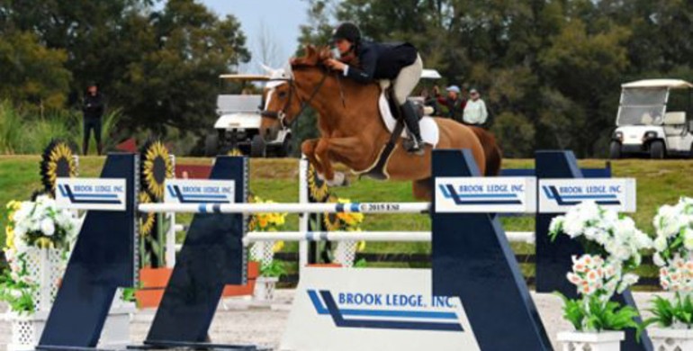 Lisa Goldman makes a clean sweep at HITS Ocala week IV winning SmartPak Grand Prix and Brook Ledge Open Welcome