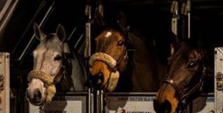 62 of the world’s best horses touch down in Hong Kong