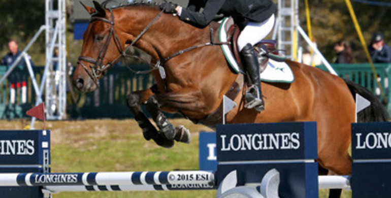 Haley Waters and Qurint speed to a $34,000 FEI HITS Jumper Classic win at HITS Ocala CSIO4*
