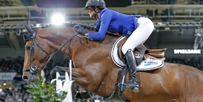 Vagabond de La Pomme to focus on his breeding career
