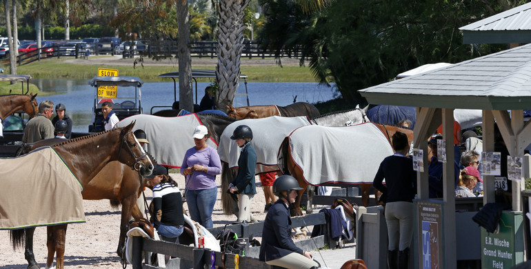 Images from the Winter Equestrian Festival in Wellington - Part two