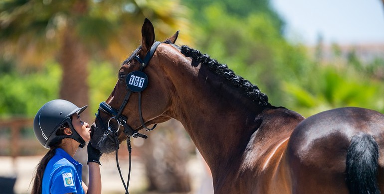 New FEI Solidarity Relief Fund initiatives for Ukraine launched in May 2022