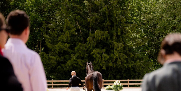 Top competitors descend upon Thunderbird Show Park ahead of Major League Show Jumping