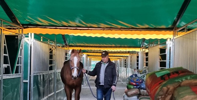 The Ukrainian Equestrian Federation Charity Foundation no longer evacuating horses from Ukraine
