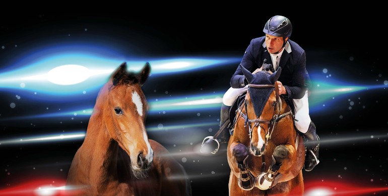 Foal auction at the Holsteiner Horse Days: 27 opportunities for future athletes