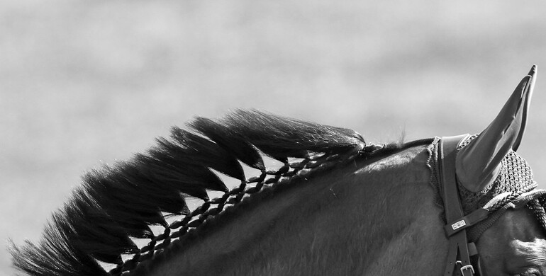 This weekend's CSI3* and CSI2* Grand Prix winners