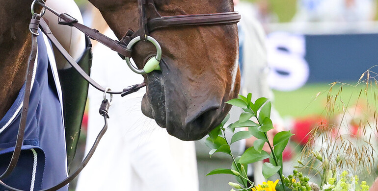 This weekend's CSI2* Grand Prix winners