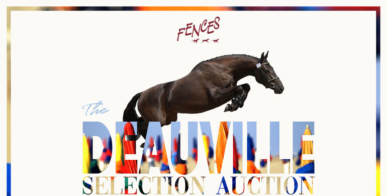 Meet Fences in Deauville