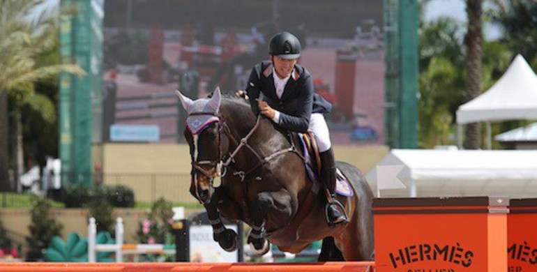 Andrew Ramsay and Welfare claim victory in $34,000 Spy Coast Farm 1.45m