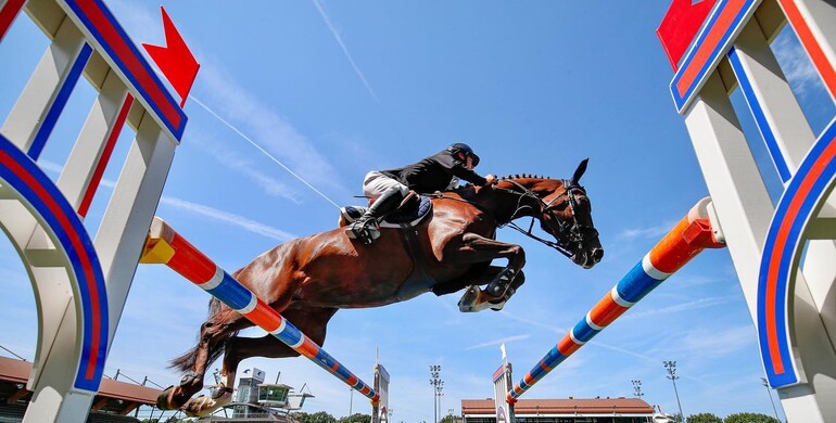 This week's CSI3* and 2* Grand Prix winners