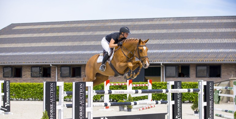 Youhorse.auction celebrates 25th online auction