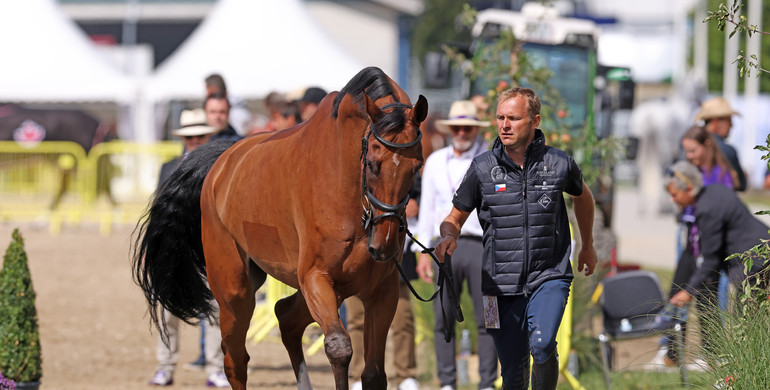118 horses accepted during first veterinary inspection at the Agria FEI Jumping World Championship