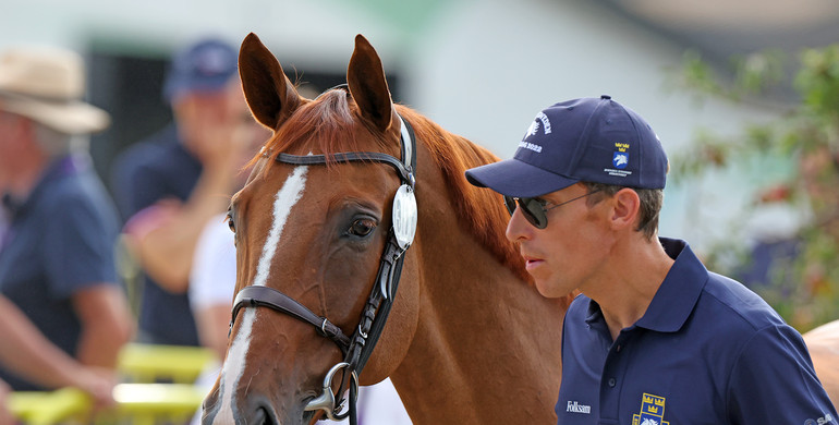 21 horses accepted at the second horse inspection at the Agria FEI Jumping World Championship