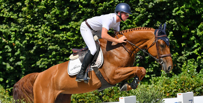 Stunning showjumpers, amazing hunters and exceptional embryos ... get ready for the Chosen.Auction