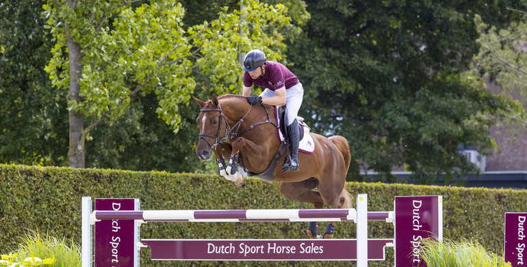 DSHS collection excels with potency and performances