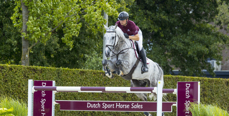 Future Grand Prix performers for sale in Dutch Sport Horse Sales