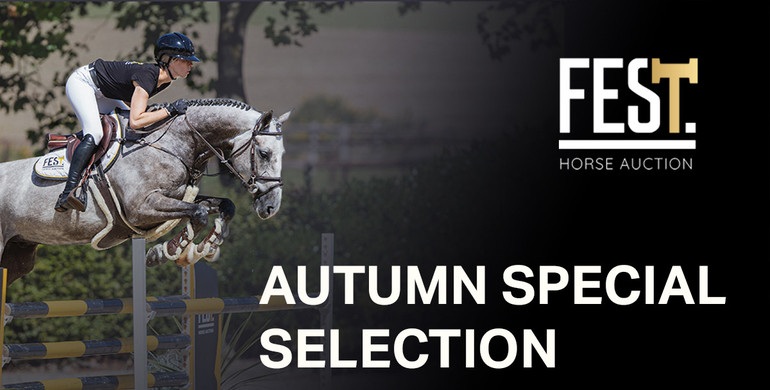 Autumn bidding time at FESThorseauction